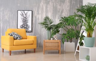 Decoración con plantas ideas
