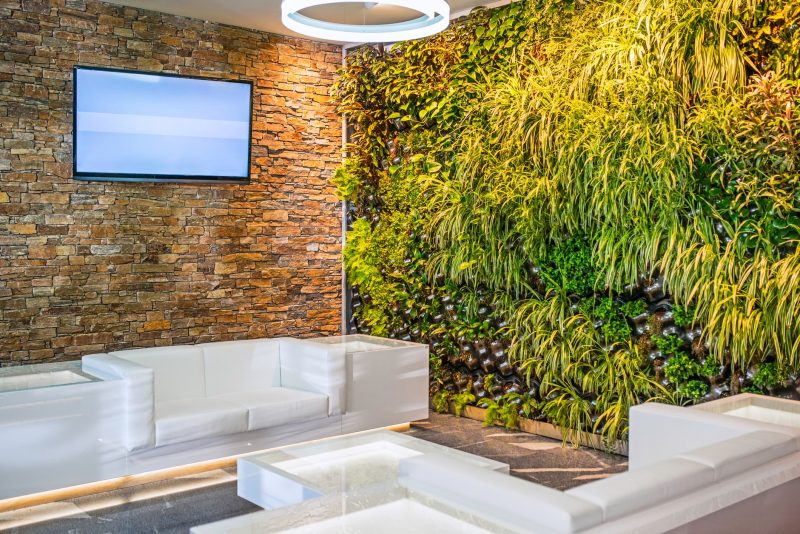 Inspiració per a crear el teu jardí vertical interior | Nexdom